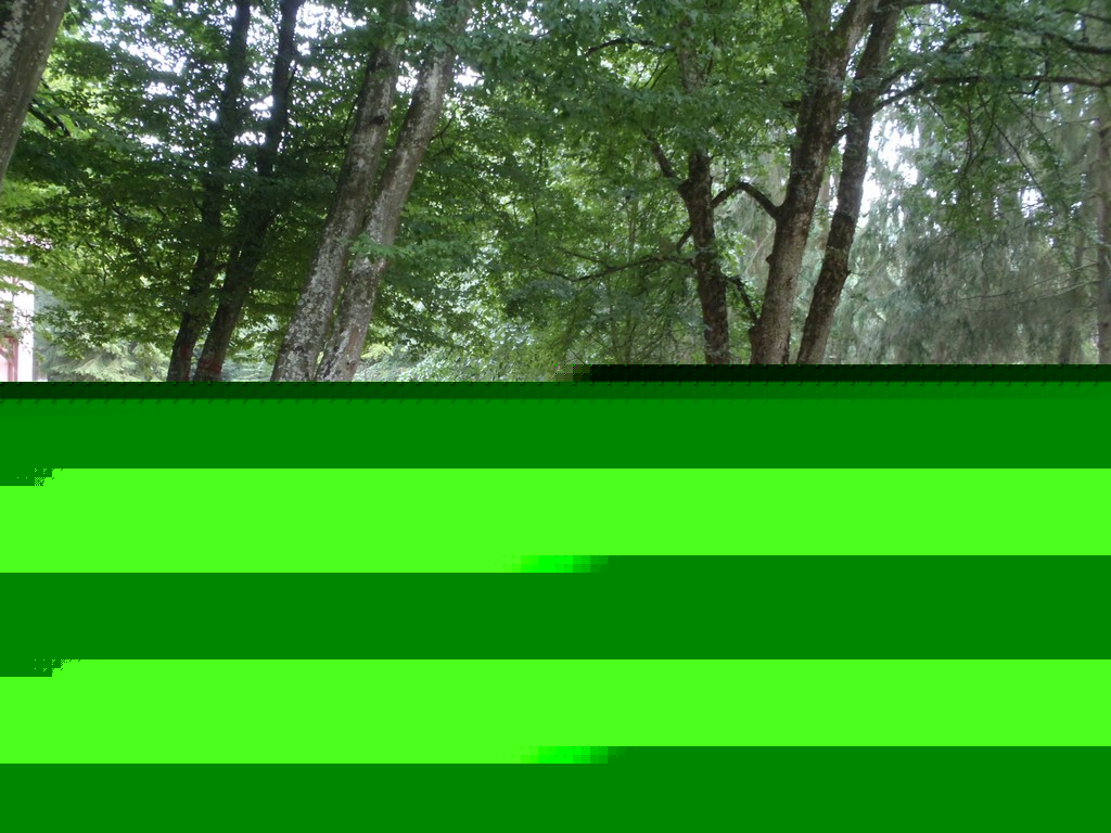 Kép