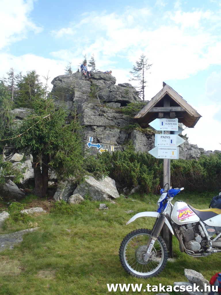 Kép