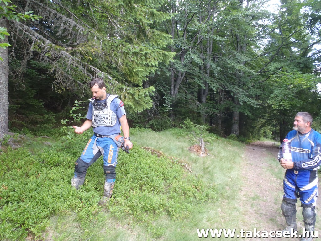 Kép