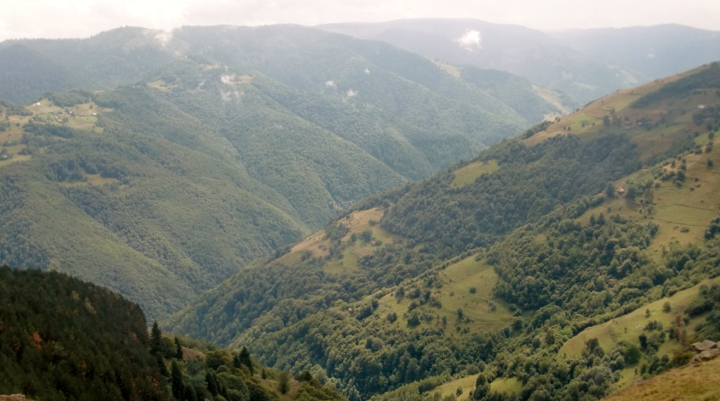 Kép