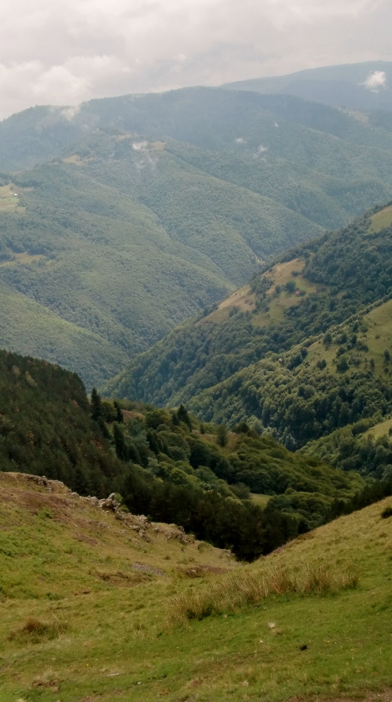 Kép