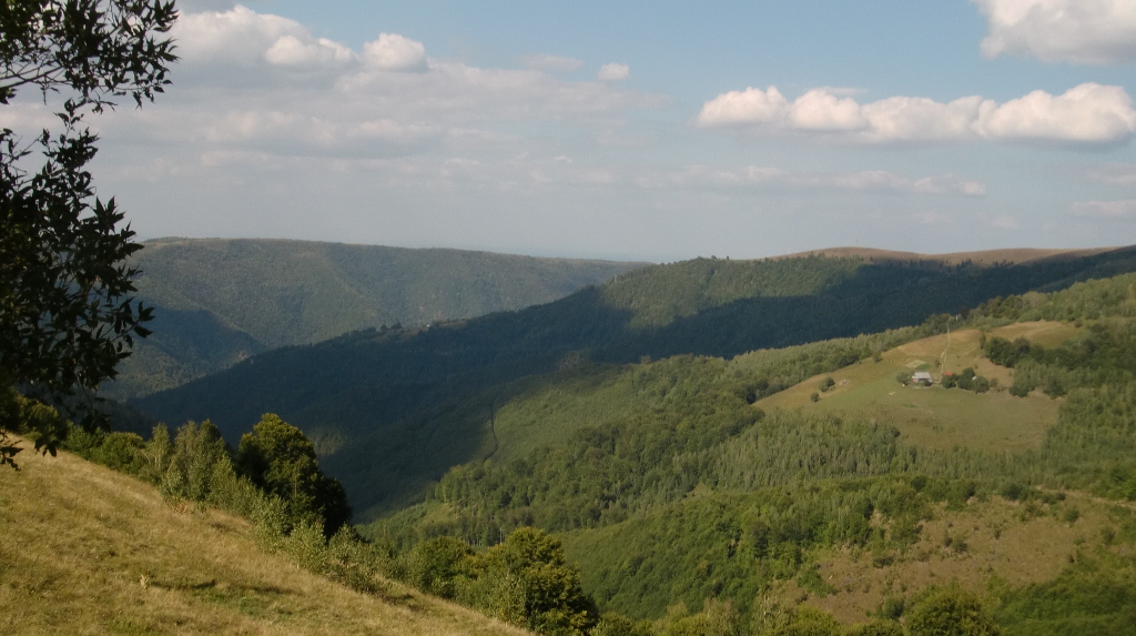 Kép