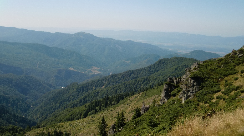 Kép
