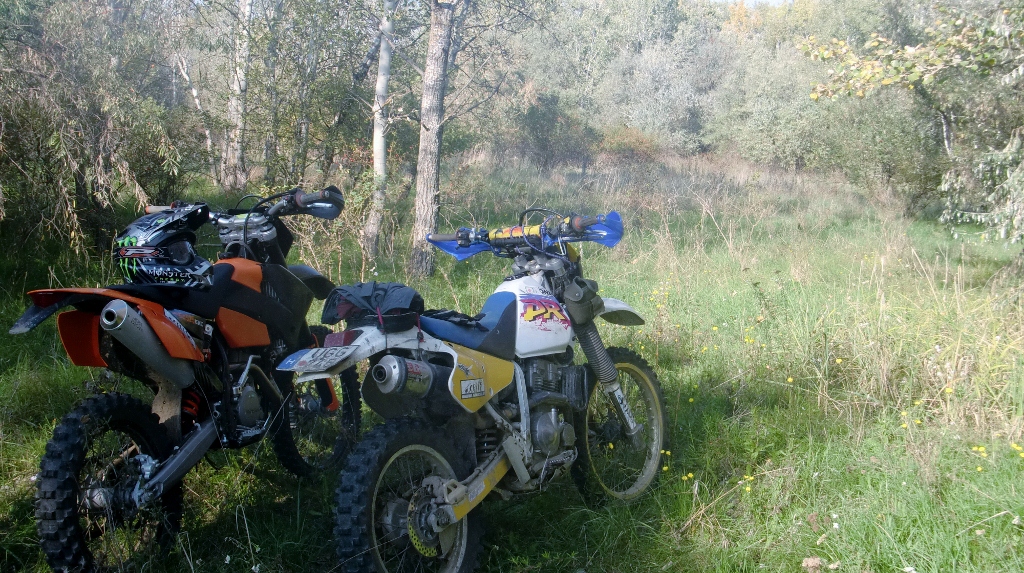 Kép