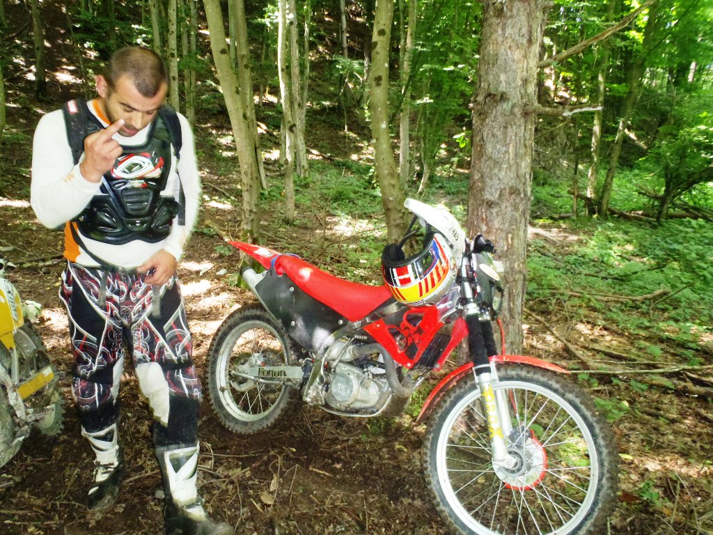 Kép