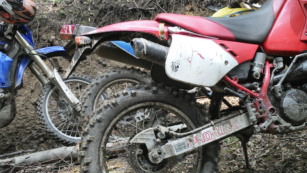 Kép