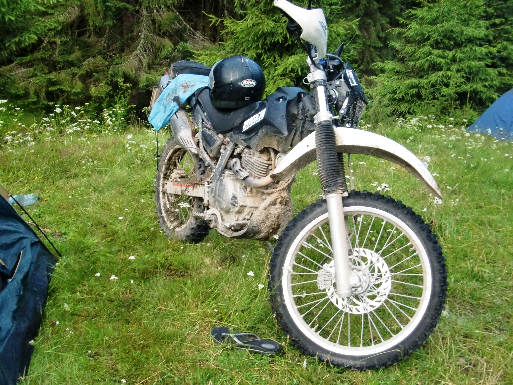 Kép