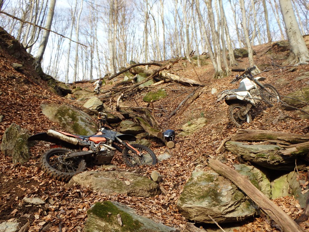 Kép