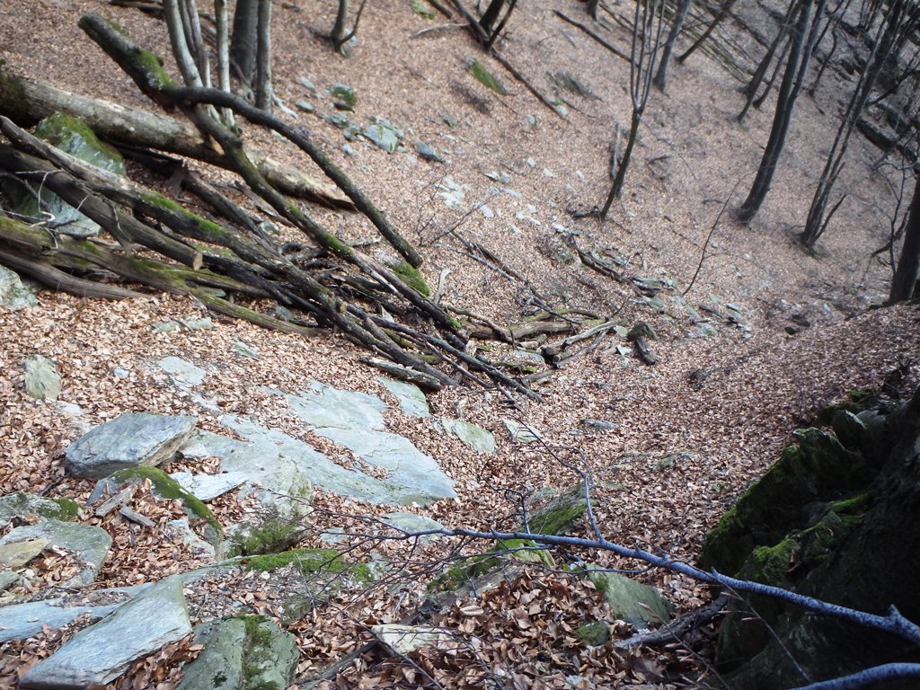 Kép