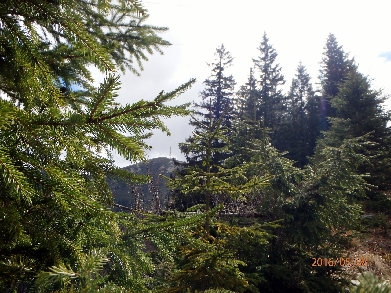 Kép