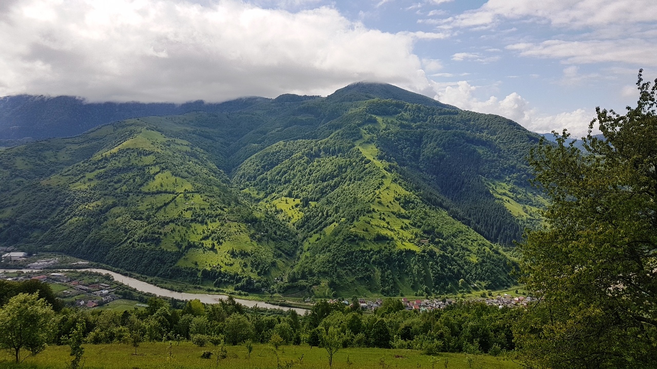Kép