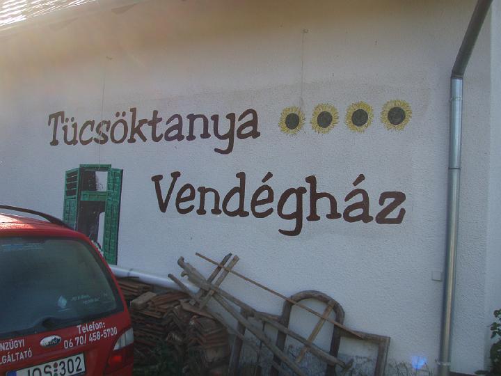 Kép
