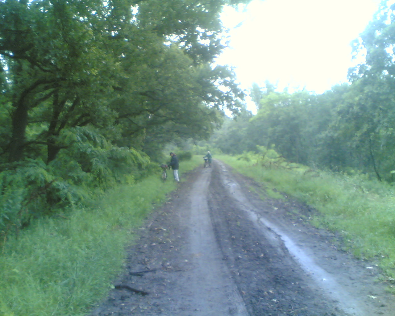 Kép