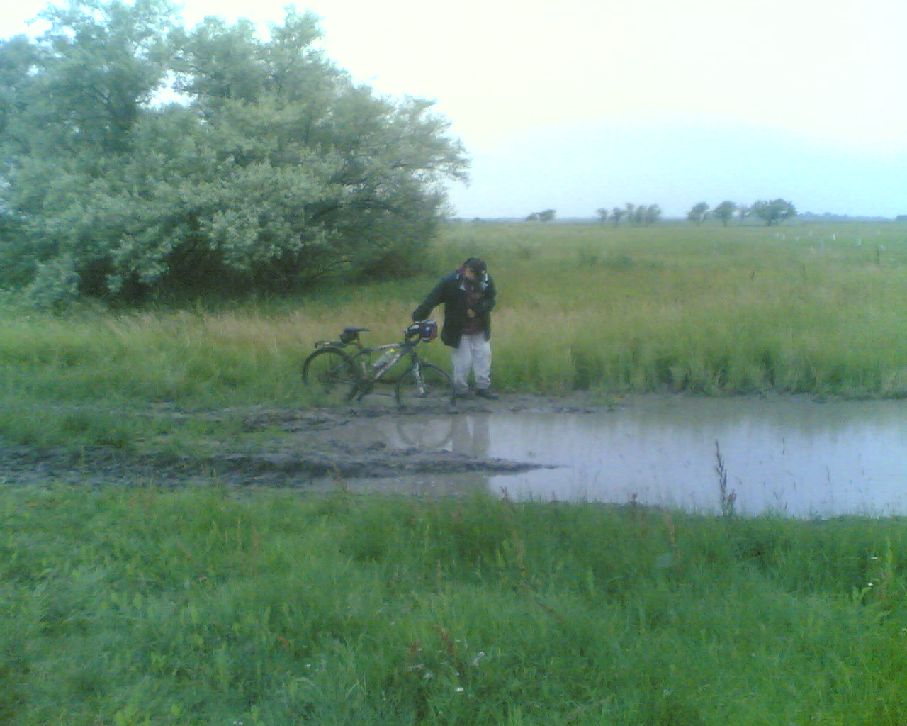 Kép