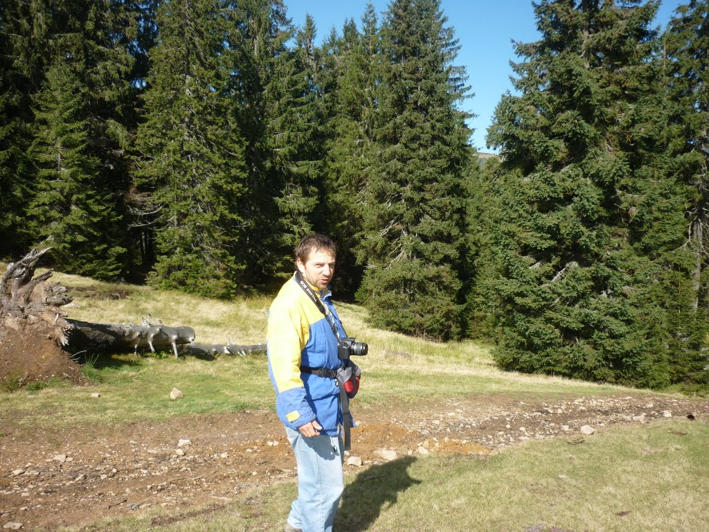 Kép