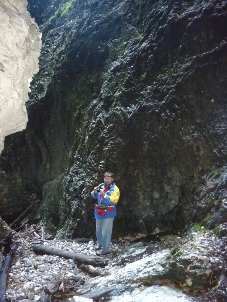 Kép