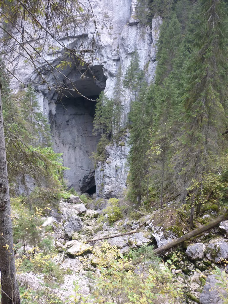 Kép