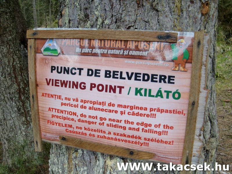 Kép