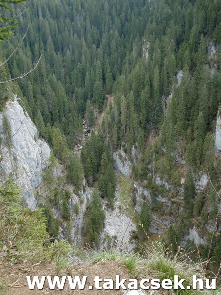 Kép