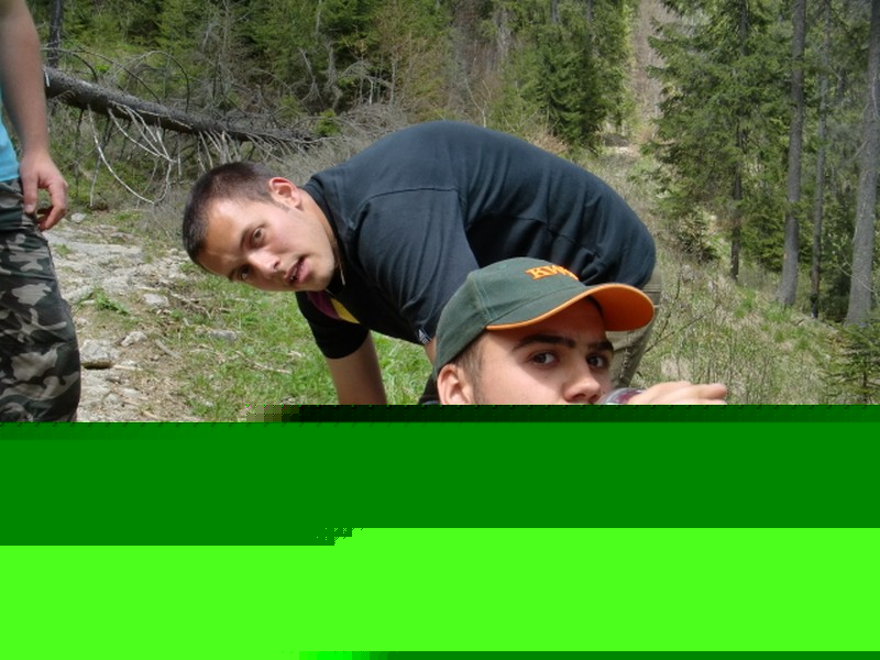 Kép