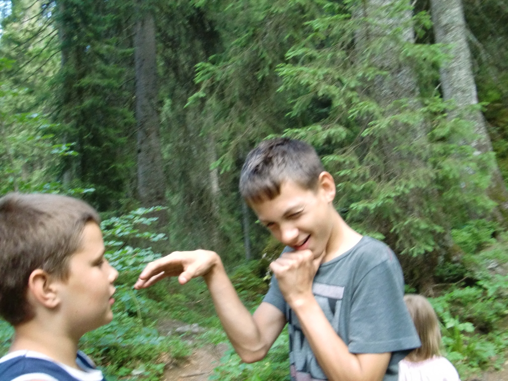 Kép