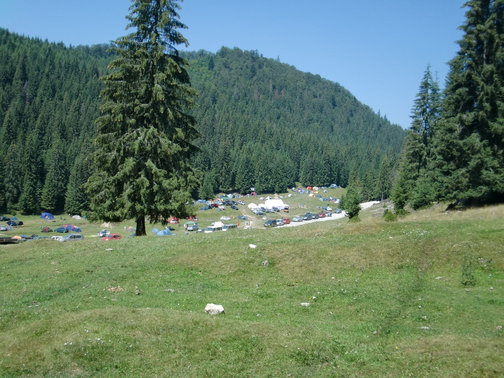 Kép