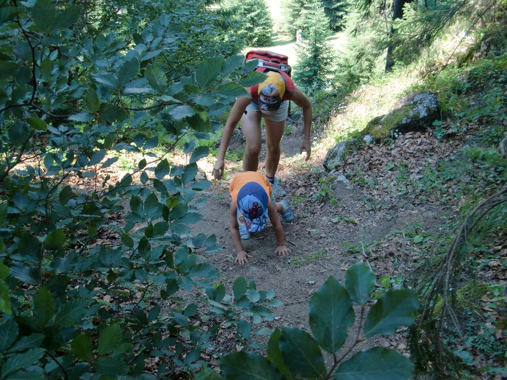 Kép