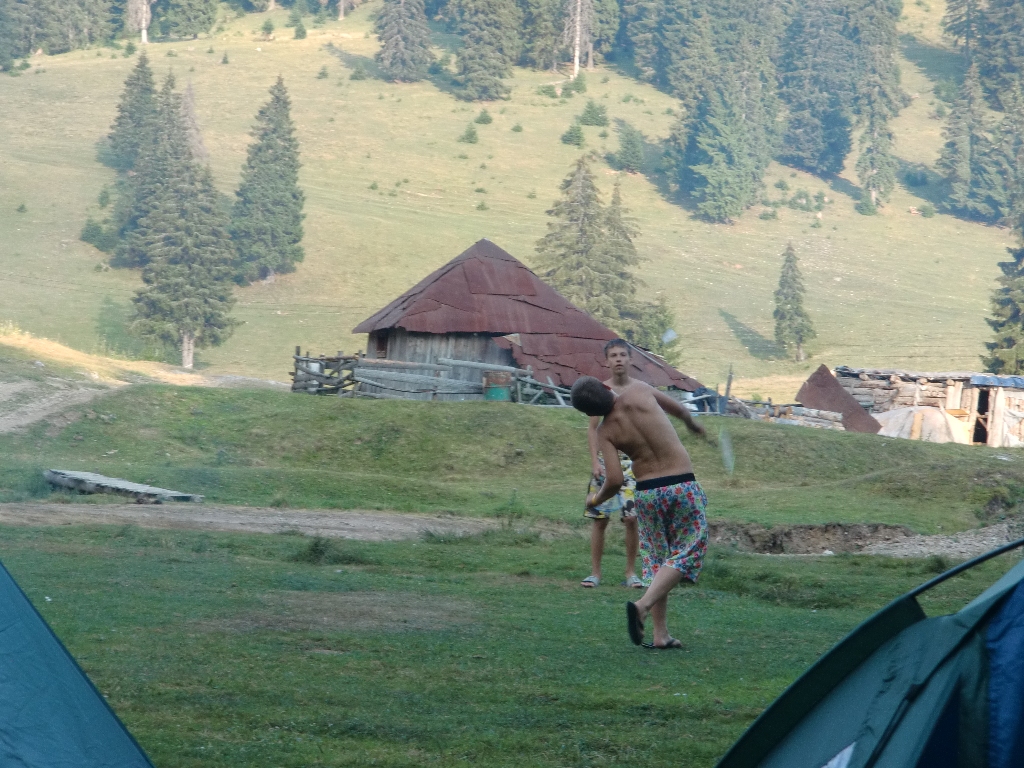 Kép